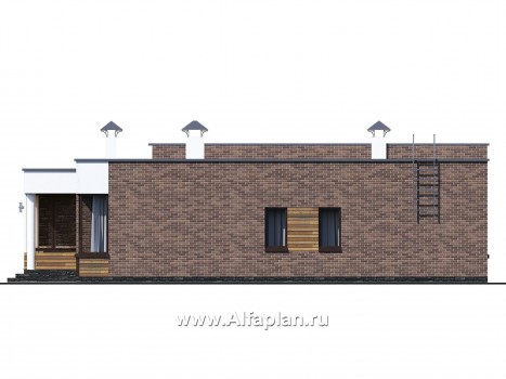 Проекты домов Альфаплан - «Фортис» - одноэтажный дом с плоской кровлей - превью фасада №3