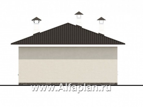 Проекты домов Альфаплан - «Мелета» - уютный одноэтажный дом с тремя спальнями - превью фасада №4